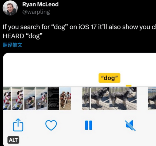 隆广镇apple维修店分享通过关键字搜索iPhone视频内声音 