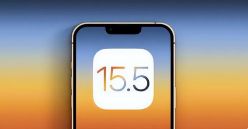 隆广镇苹果手机维修分享iOS15.5 RC版升级建议 