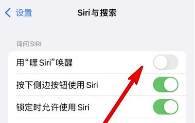 隆广镇苹果13维修分享iPhone 13怎么唤醒 Siri  