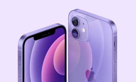 隆广镇苹果手机维修分享紫色版iPhone 12有什么技术亮点 