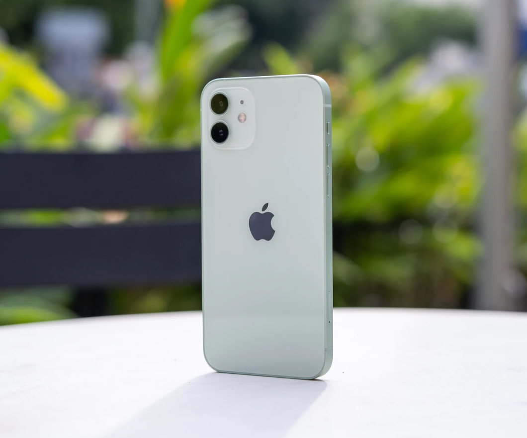 隆广镇苹果手机维修分享iPhone 12 不慎落入水中如何处理 